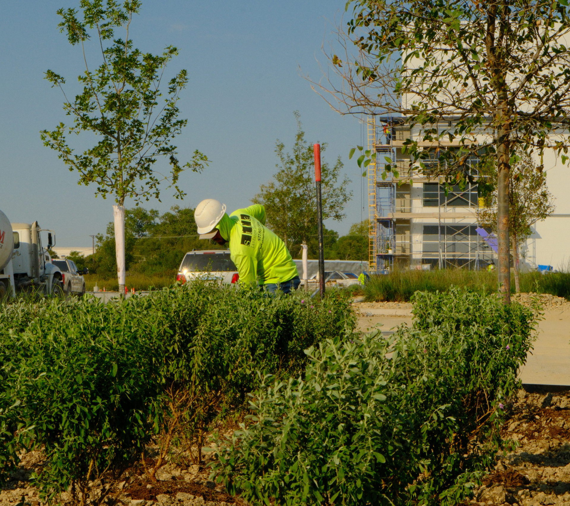 SITE Landscape Development crew member installing irrigation system around newly planted landscape beds